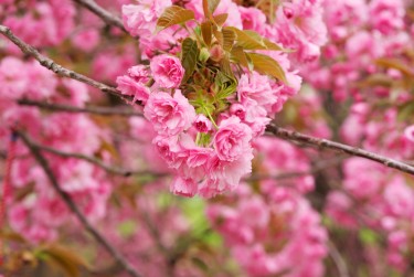 温州乐清6线下个人借款平台一站式服务，轻松解决资金难题