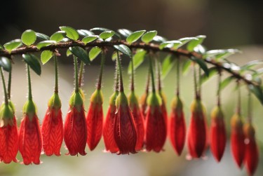 温州乐清6零用贷短借：轻松解决临时资金需求