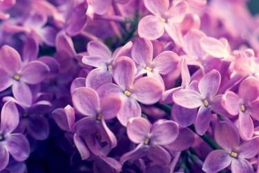 温州乐清6企业急用钱贷款攻略：快速融资解燃眉之急